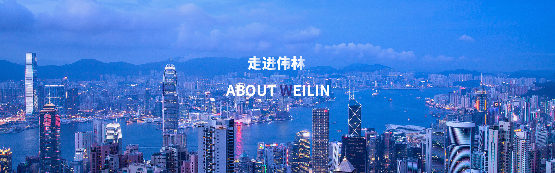 走进伟林